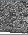 LUBRITAB® - A versatile excipient from natural origin14