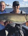 Jerkbait Fishing For Beginning Musky Anglers