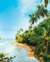 Tropical PARADISE Tropical PARADISE