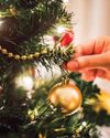 Home for the HOLIDAYS WOMAN - UK