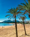 MARVELLOUS MAJORCA