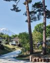 Go wild IN JAPAN18
