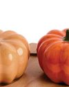 Autumn HARVEST Autumn HARVEST11