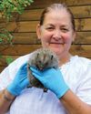A haven for HEDGEHOGS4