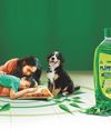 Pet-Proofing Your Home: A Checklist for safer floors at home with ITC Nimyle