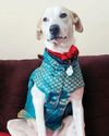 SNOWIE: Our Loyal Companion SNOWIE: Our Loyal Companion