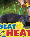 BEAT the HEAT BEAT the HEAT
