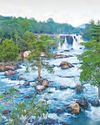 Vaartha-Sunday Magazine