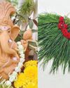 Vaartha-Sunday Magazine