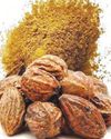 కరక్కాయతో బహుళ ప్రయోజనాలు Vaartha-Sunday Magazine
