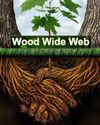 The Wood Wide Web The Wood Wide Web