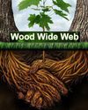 The Wood Wide Web