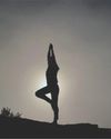 My Journey in Search of the True Essence of Yoga My Journey in Search of the True Essence of Yoga