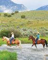 The Country's Hottest Horse Motels The Country's Hottest Horse Motels