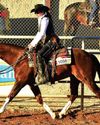 Speaking Horse