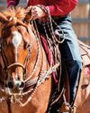 Two-Rein Dos and Don'ts