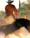 Horse and Rider
