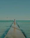 Intentionally Wes Anderson10