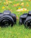 Amateur Photographer