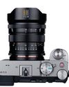 Amateur Photographer
