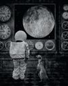 Shoot for the moon14