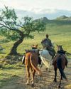EL CABALLERO DE LOS SIETE REINOS EL CABALLERO DE LOS SIETE REINOS46
