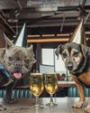 Pets And Booze With Brewdog