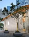 AppleMagazine