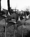 GOOD FENCES GOOD FENCES21
