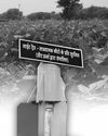 प्रकाश प्रपंच यंत्र (लाइट ट्रैप) दुश्मन कीटों का दुश्मन9