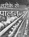 वैज्ञानिक तरीके से मुरगीपालन वैज्ञानिक तरीके से मुरगीपालन10