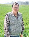 समय पर करें गेहूं की बोआई1