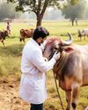 पशु का इलाज केवल 2 रुपए में पशु का इलाज केवल 2 रुपए में15