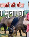पशुपालकों की मौज बढ़ा मुनाफा6