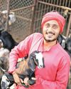 बकरीपालन4