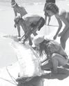 Satyakatha
