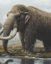 The Color of Early Mammals The Color of Early Mammals
