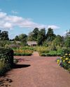 Amisfield In Bloom4