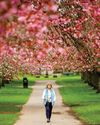 The Scots Magazine