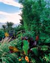 Foliage Fiesta! Foliage Fiesta!