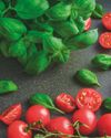 Growing a Herb Garden (EVEN IN A TINY SPACE)