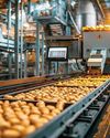 Time to Level-up Indian Agri-Exports Time to Level-up Indian Agri-Exports1
