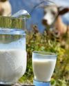 Global Goat Milk Products Market is Rising, Expected USD 17.61 Billion By 2030