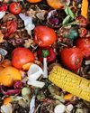 Kerry launches Food Waste Estimator to raise awareness of collective action to tackle global food security