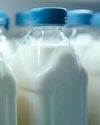 The Dairy Chain Revolution: Ensuring Freshness and Efficiency