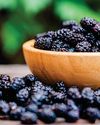 Mulberry Fruit: A Miracle berry with Multifunctional benefits