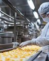 Processed to Perfection: Inside the Rapid Growth of the Global Food Processing Market Food & Beverages Processing