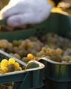 Food & Beverages Processing