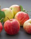 Food & Beverages Processing