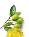 Food & Beverages Processing